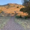 Start of Montezuma Quail Trail.