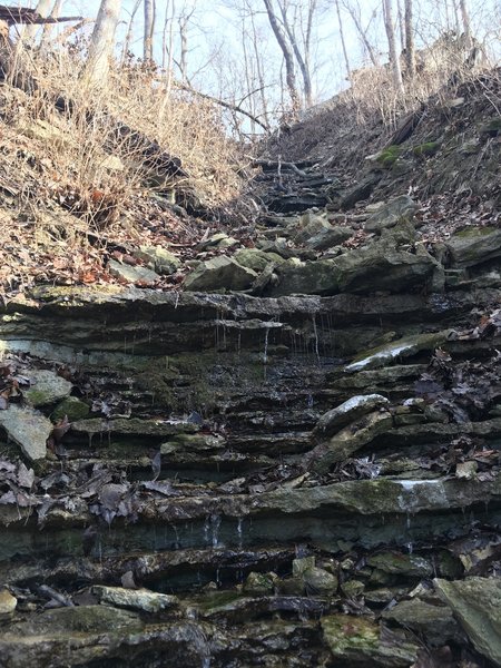 Small creek along Cliffside Trail.