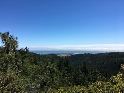 Chalk Mountain Loop Hiking Trail Brookdale California