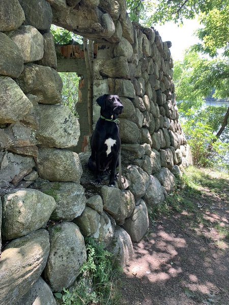 House ruins along pine meadow lake