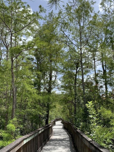 Boardwalk to overlook