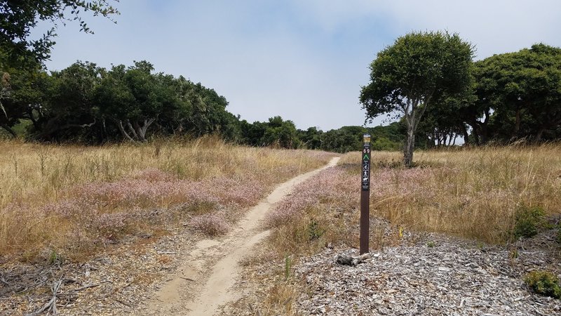 Fort Ord National Monument Trail 69