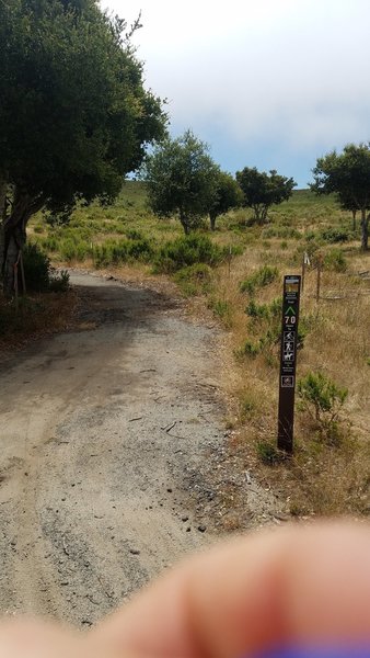 Fort Ord National Monument Trail 70