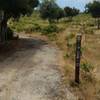 Fort Ord National Monument Trail 70