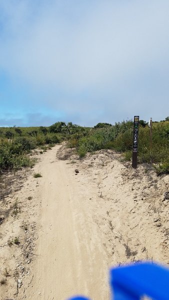 Fort Ord National Monument Trail 70