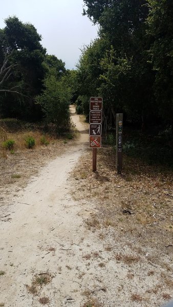 Fort Ord National Monument Trail 59 at Watkins Gate