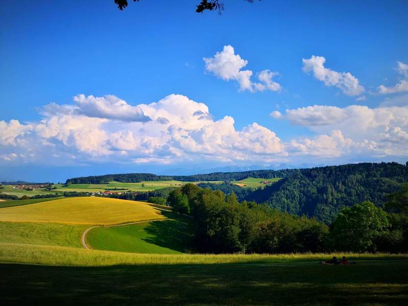 Gurten Kulm - View of the fields and alps in the background