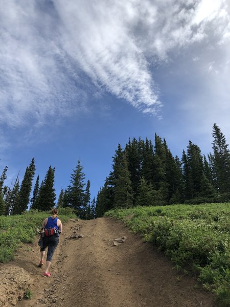 Hiking up the final vertical near the top!