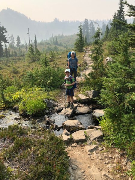 On the Sol Duc River Trail