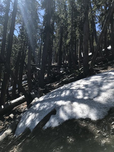 Remaining snow patch in July, 2019, near the final ascent.