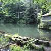 The dock at Monk Pond.