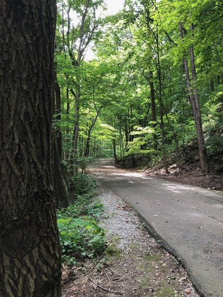 Trolley Line Trail