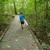 The Wetlands Boardwalk