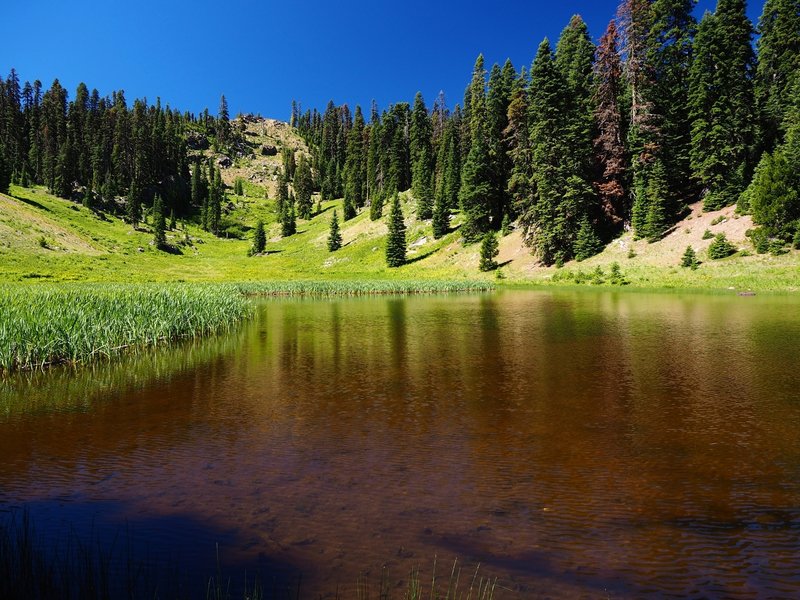 Hinkle Lake