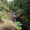 Waterfall with stump feature off the Deschutes River.