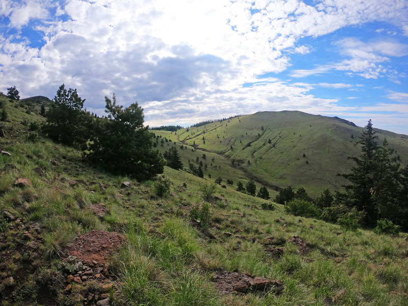 View from the trail of the grassy hills on Gooseberry Trail.