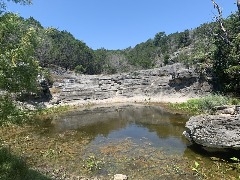 Tinaja Bowl