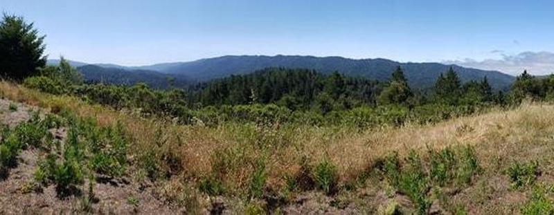 Overlook of the County Park.