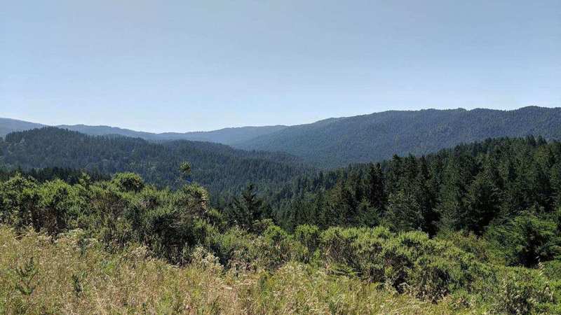 Overlook of the County Park.