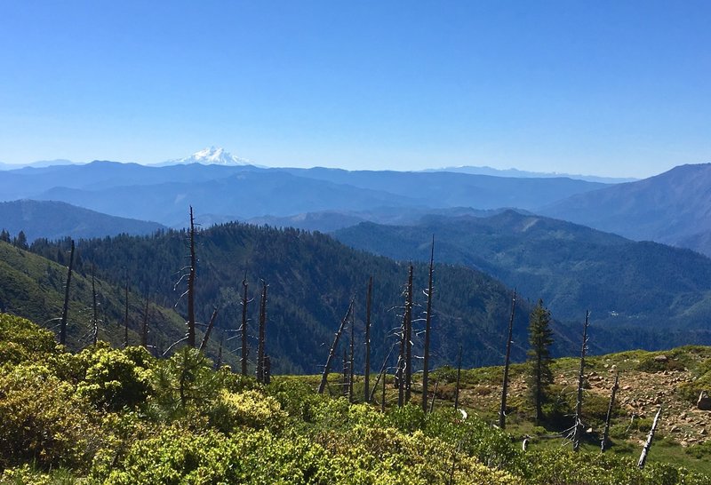 Looking southeast toward Mt. Shasta