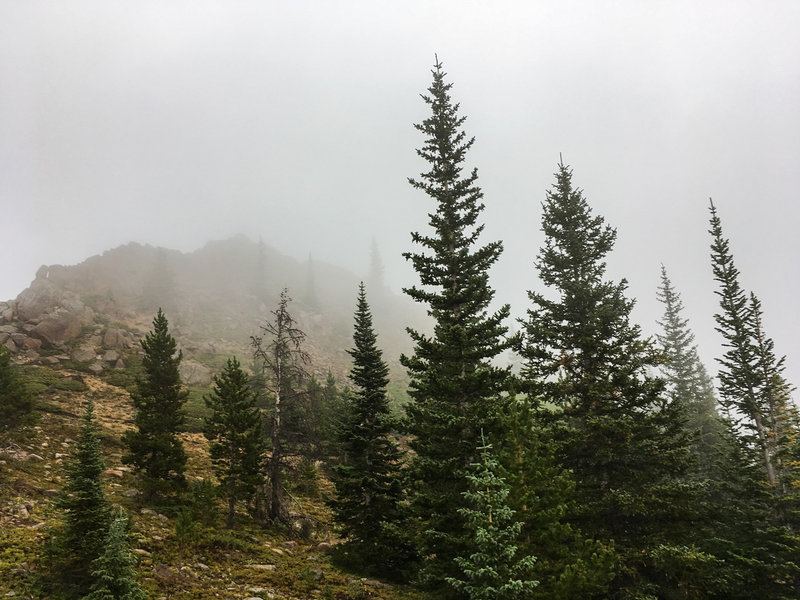 Second Creek Trail