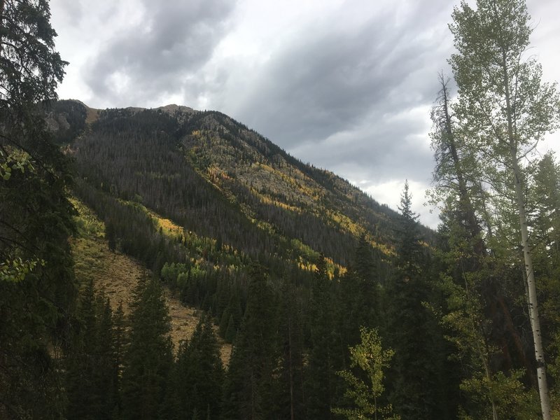 Aspen colors.