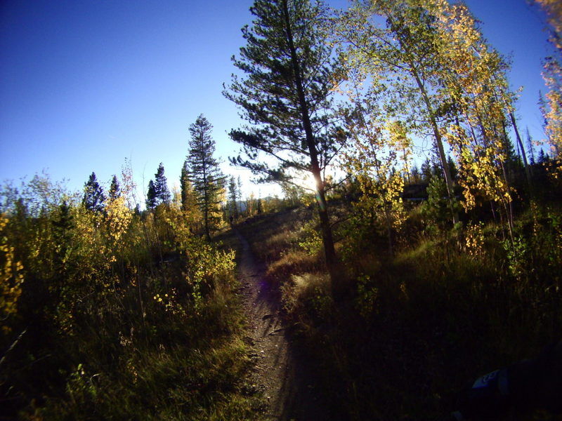 Creekside Trail in the evening