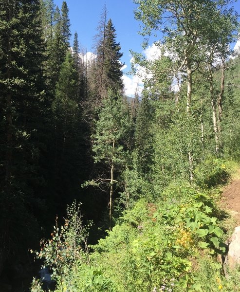 Two Elk is narrow, technical, and has a very steep drop (> 30') to the creek below.