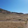 Hillside full of fossils.