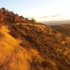 Golden hour in the foothills.