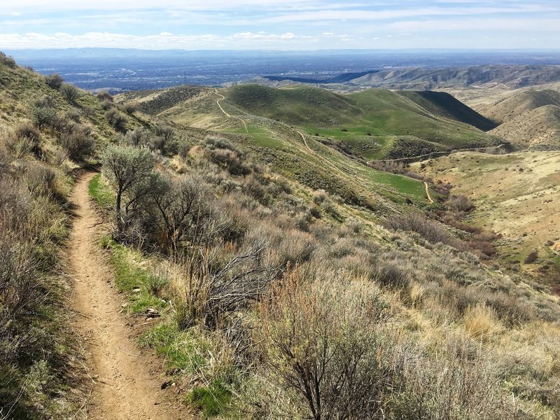 Scott's Trail descends beautifully toward the Miller Gulch Trailhead from 8th Street Road.