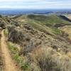 Scott's Trail descends beautifully toward the Miller Gulch Trailhead from 8th Street Road.