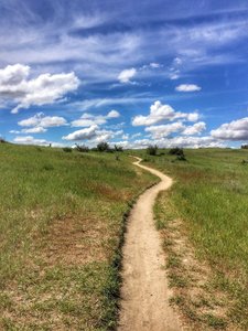 Top of Bucktail just before Shane's intersection.