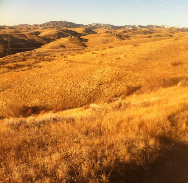 Afternoon light on the Boise Foothills