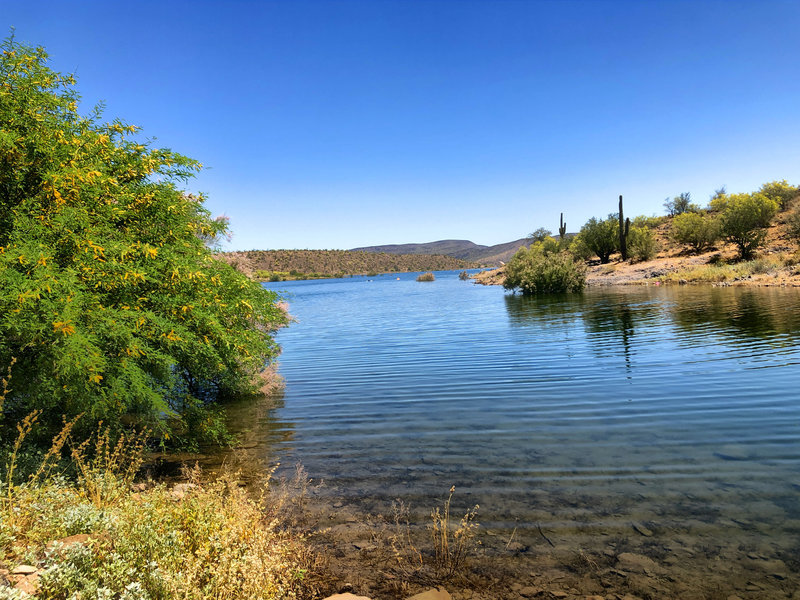 View of Lake Pleasant.