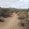 Beautiful views. Sharp cactus.