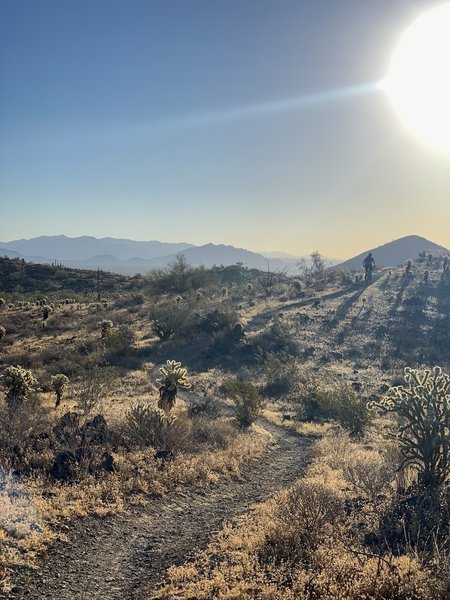 Sunrise from Great Horned Owl.