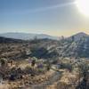 Sunrise from Great Horned Owl.