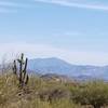 Looking east at the Superstitions.