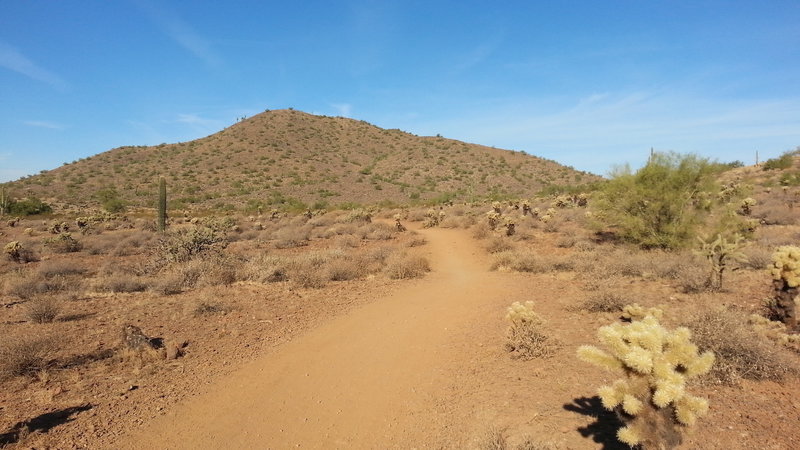 Start of Ocotillo trail - heading west.