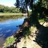 Trail has frequent views of the Minnesota River.