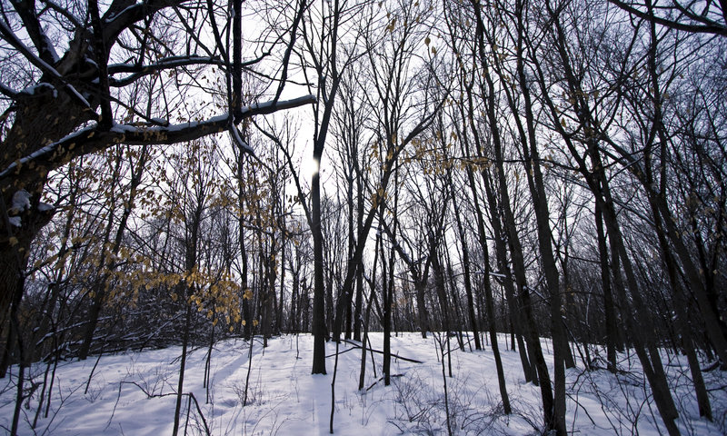 Elm Creek Park Reserve