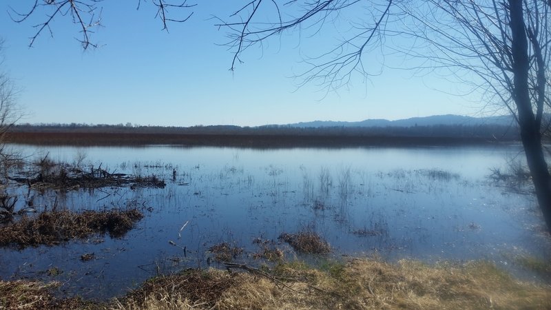 Interlakes Trail