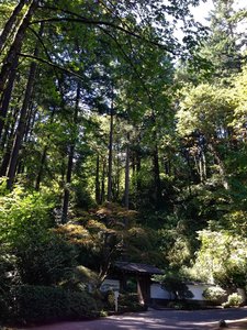 Back to the Garden.