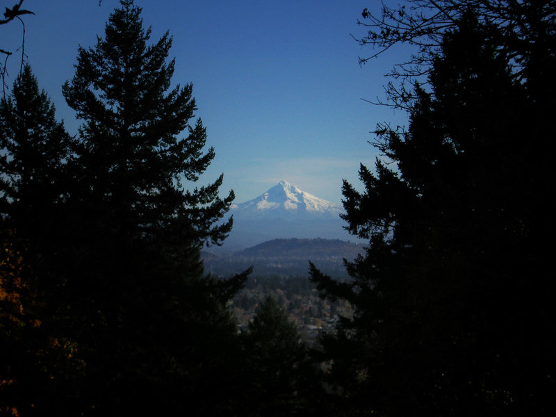 Mount Hood From Mount Tabor