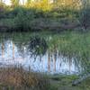 Tualatin Hills Nature Reserve