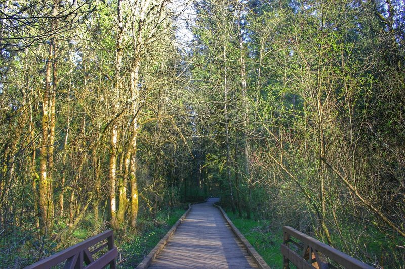 Tualatin Hills Nature Reserve