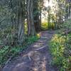 Tualatin Hills Nature Reserve