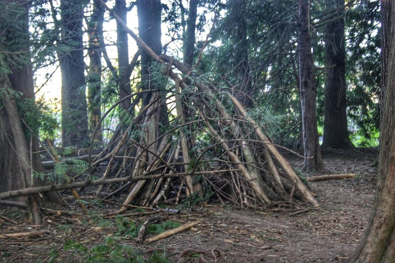 Tualatin Hills Nature Reserve