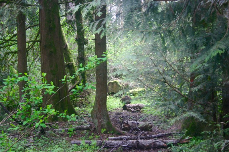 Tualatin Hills Nature Reserve